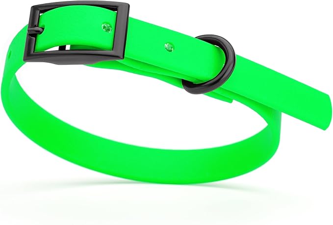 Dogline Biothane Waterproof Dog Collar Strong Coated Nylon Webbing with Black Hardware Odor- Proof for Easy Care Easy to Clean High Performance Fits Small Medium or Large Dogs, Tropical Green-PawvioPets