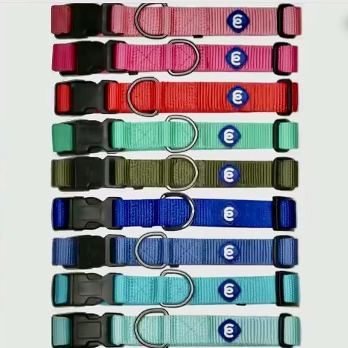 Blueberry Pet Essentials Adjustable Dog Collar in Turquoise | Dog Collars for Medium & Large Dogs | Eco-Friendly Nylon for Boy & Girl Puppies | Stylish & Durable for The Eco-Conscious-PawvioPets