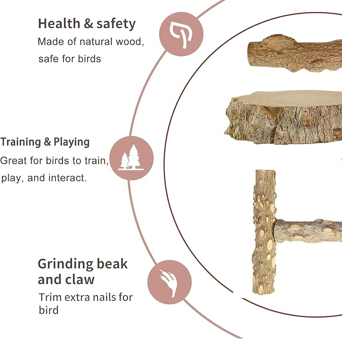 Bird Ladder Perch for Cage, Nature Wooden Bird Bridge Exercise Stands Parrot Climbing Chewing Toys for Small Animal (B)-PawvioPets