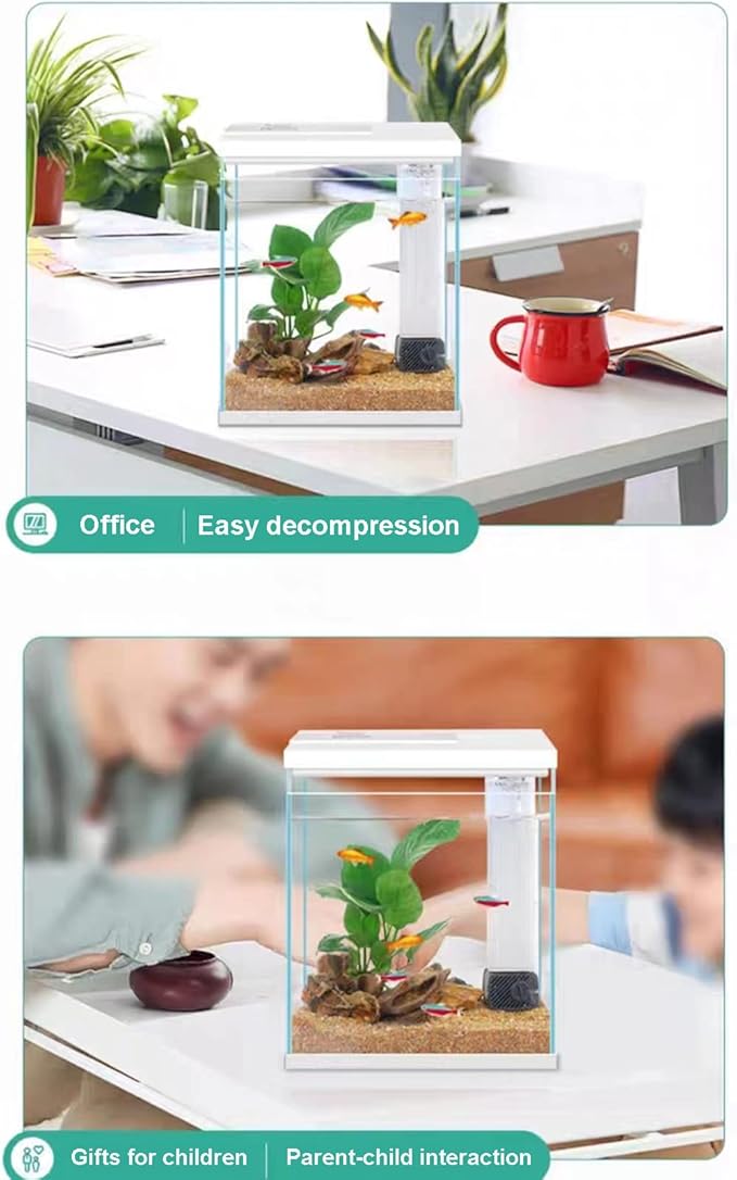 Betta Fish Tank, 2 Gallon Glass Aquarium Starter Kit, Small Fish Tank with Filter and Light.-PawvioPets