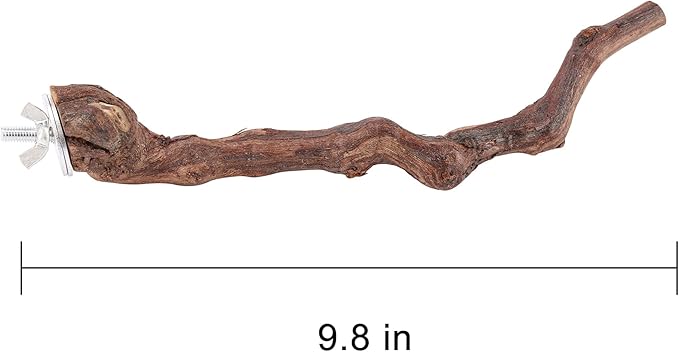 2 pcs 9.8 inch Bird Perches Stand Natural Wood Bird Perches, Birdcage Wood Stand Tree Perches for Birds Cockatiels Parrots Conures Macaws Finches(2PCS 9.8" Length)-PawvioPets