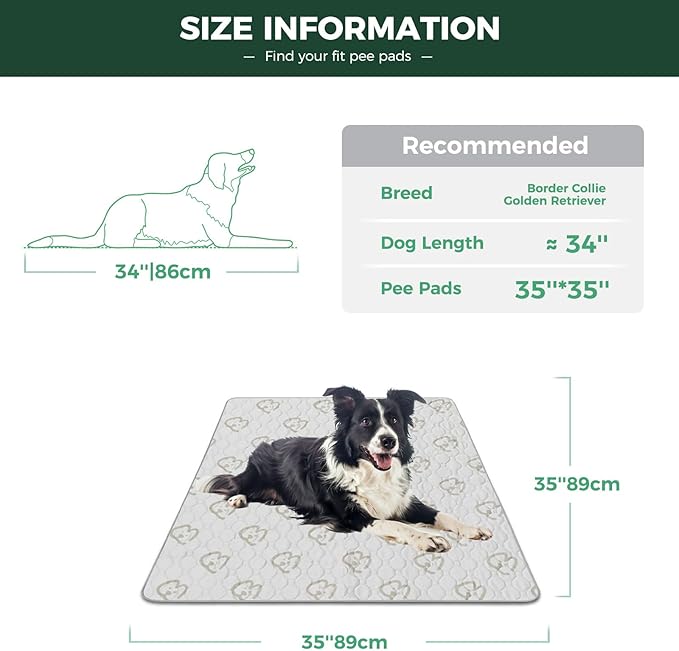 FXW Washable Pee Pads for Dogs, Puppy Pads with Super Absorbent, Specifically Designed for Potty Training, 35" Square, Khaki, 2 Packs-PawvioPets