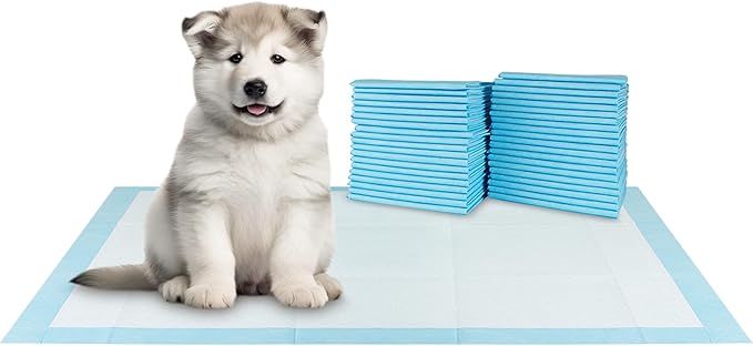 BV XXL Puppy Pads 20 Count 30" x 36" - Leak-Proof Pee Pads for Dogs with 6-Layer Design, Rapid Dry Sheet & Attractant - Dog Pad Extra Large with Odor Control - Perfect for Big Dogs & Indoor Use-PawvioPets