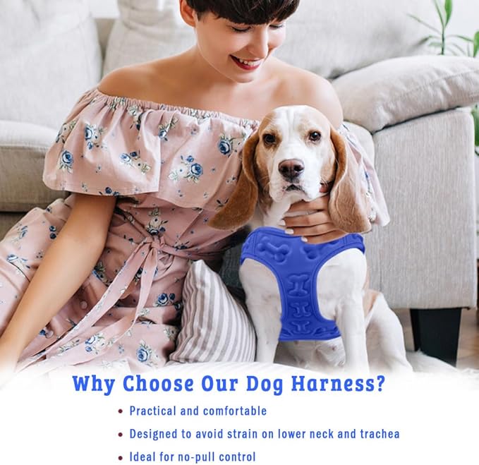 Comfort Fit Dog Harness No Pull with Adjustable Buckles Soft Padded Reflective Choke Step-in Pet Vest with Easy Control Handle for Small Medium Large Dogs & Puppies for Walking Running Training-PawvioPets