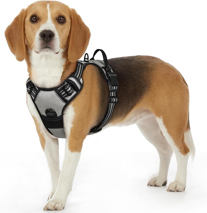 Eagloo Dog Harness Small Sized Dog, No Pull Service Vest with Reflective Strips and Control Handle, Adjustable and Comfortable for Easy Walking, No Choke Pet Harness with 2 Metal Rings, Grey, S-PawvioPets