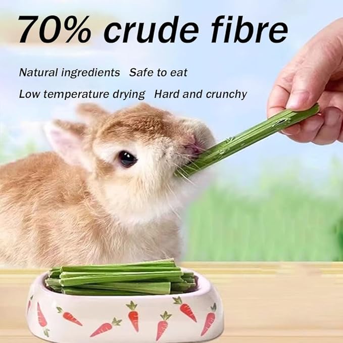 400g 5 Guinea Pig Toys Apple Sticks, Tissimo Grass Sticks, Sweet Bamboo, Papaya Stems, Carrot Sticks Pertain Chinchilla Squirrel Gerbil Hamster Squirrel Guinea Pigs-PawvioPets