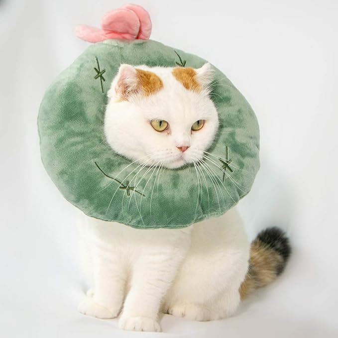 Adjustable Cat Recovery Collar Soft,Cute Pet E-Collar Neck Cone After Surgery Wound Healing Protective Cone Fit for Kitties, Small Dogs(ELC05-cactus-s)-PawvioPets