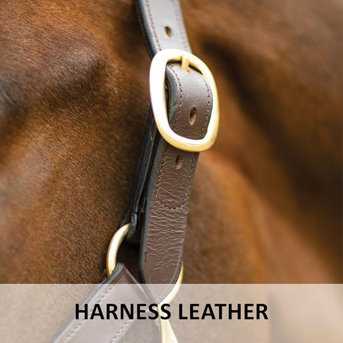 Dura-Tech Premier Lancaster Leather Halter for Horses | Simple Economy Leather Halter with Adjustable Fit & Solid Brass Hardware-PawvioPets