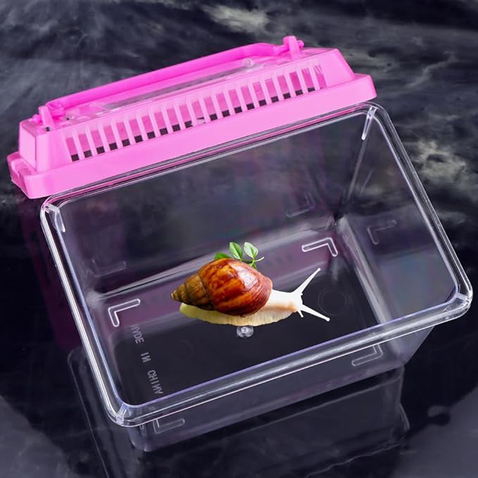 20 Pack Small Plastic Reptile Carrier Tarantula Enclosure Snake Breeding Box Hatching Container for Spider Fish Turtle Hermit Crab Bearded Dragon Lizard (5.1 x 3.5 x 3.5 Inch)-PawvioPets