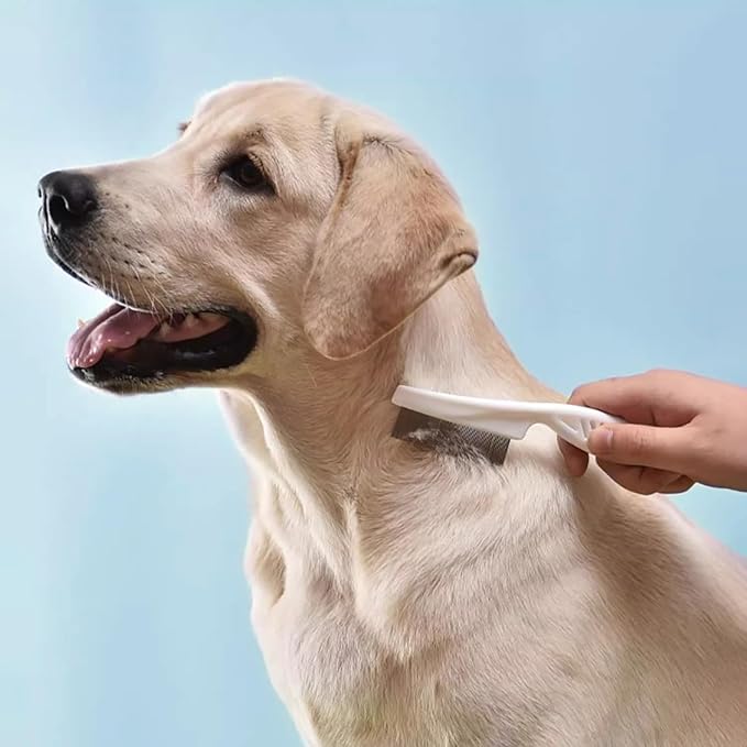 4 in 1 Cat Grooming Brush Self Cleaning Slicker Brush Dematting Tool for Dogs & Cats Haired Pets Skin Friendly, Deshedding Tool, Suitable for Pet Supplies Accessories, Blue-PawvioPets