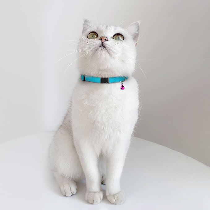 Breakaway Cat Collar Leather with Removable Bell - 13 Colors Available - Soft Adjustable Girl Boy Safety Lightweight Pet Kitten Collars Pink Brown Blue Green Red Orange Black (Graphite)-PawvioPets