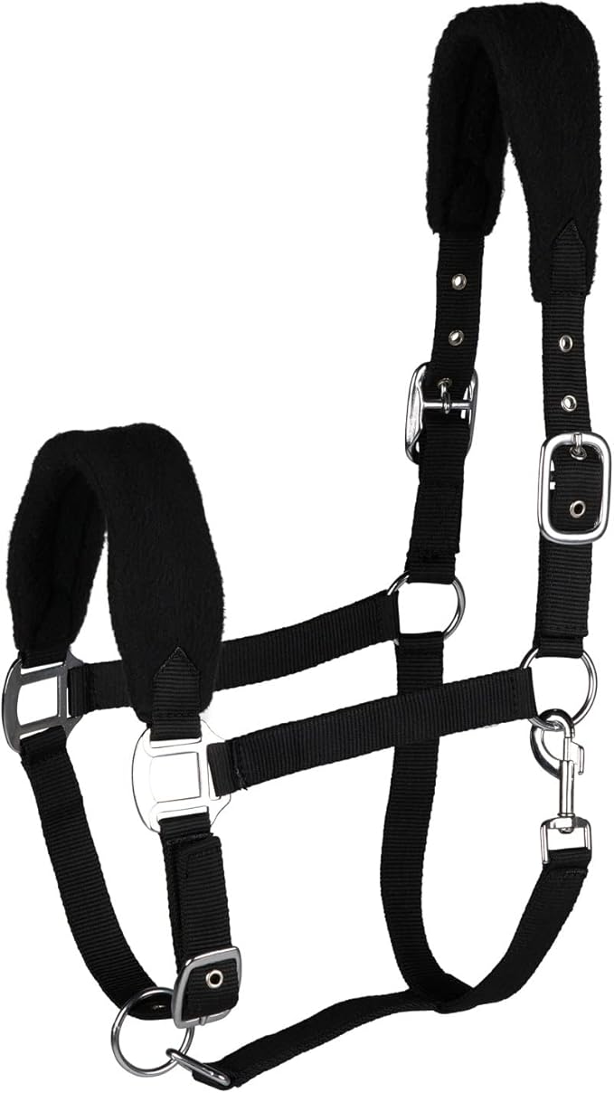 HORZE Kiel Adjustable Horse Halter with Fleece Padding - Black - Horse-PawvioPets