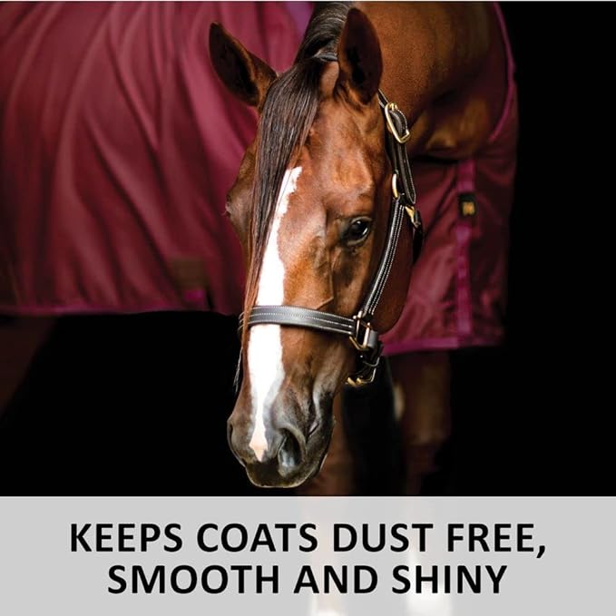 Dura-Nylon Horse Stable Sheet | Ultimate Comfort & Protection Horse Sheet | Keeps Coats Smooth & Shiny-PawvioPets