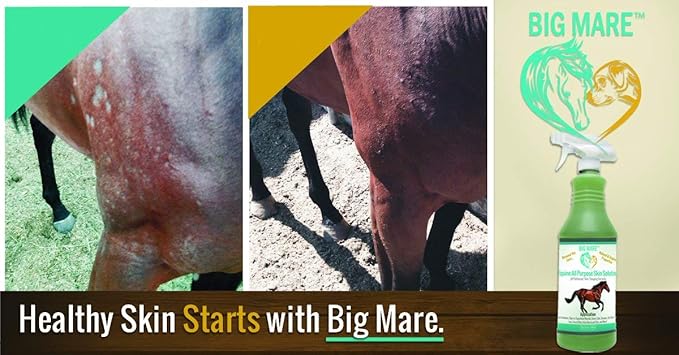 All Purpose Horse Skin & Wound Care 32oz | First Aid: for Girth Itch, Insect & Fly Bites, Crud, Itchy Manes & Tails & Hair Loss | Vet Approved & Recommended-PawvioPets