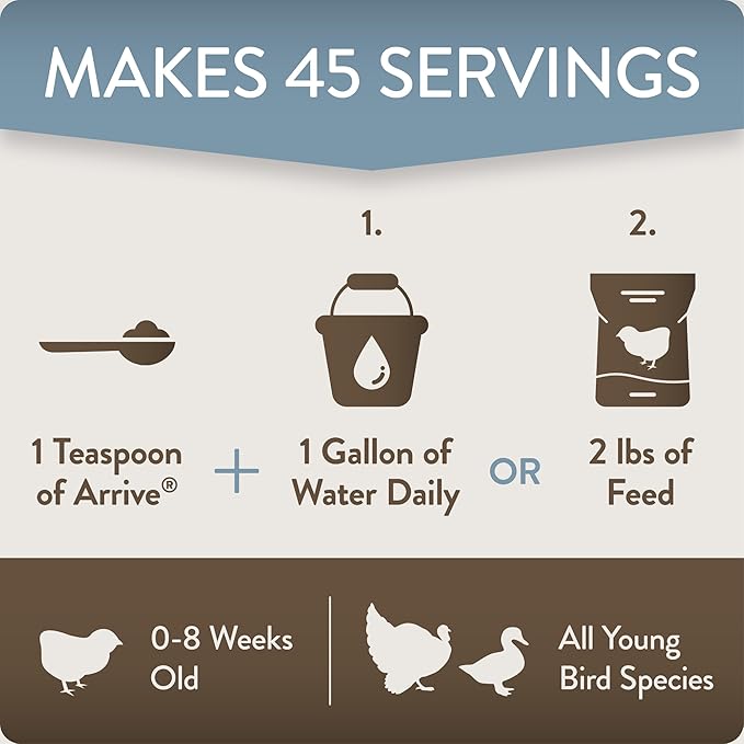 Arrive, Daily Probiotic & Prebiotic Poultry Supplement for Young Chickens 0-8 Weeks Old, 8 oz-PawvioPets