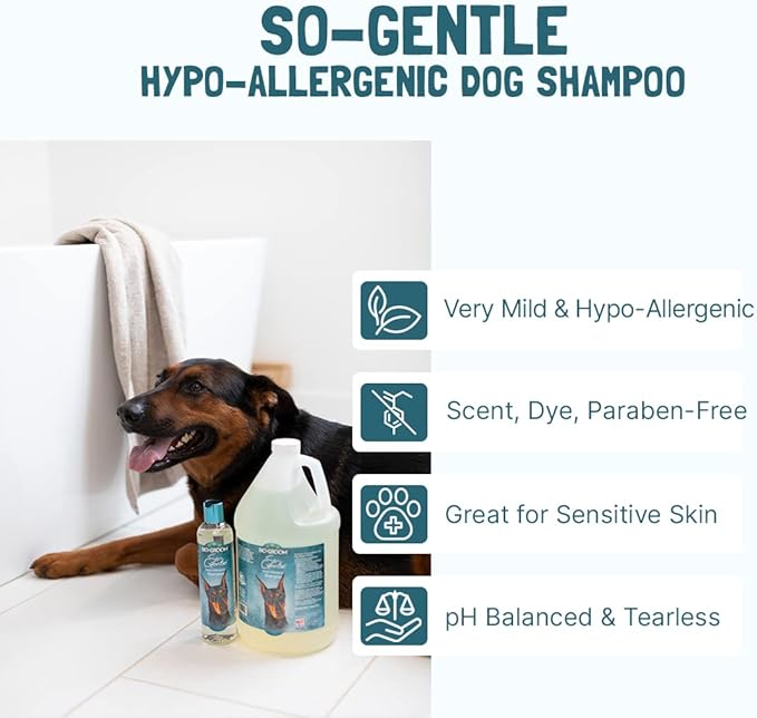 Bio-Groom So-Gentle Hypoallergenic Dog Shampoo - Tearless, Cat & Dog Bathing Supplies, Puppy Shampoo for Gentle Skin, Cruelty-Free, Made in USA, Tear-Free Dog Products - 12 fl oz 1-Pack-PawvioPets