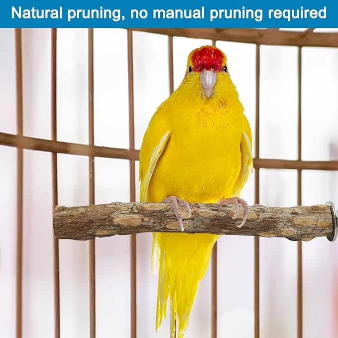 4 Pcs Natural Wooden Bird Perch Parrot Stand, 2 Grape Wood Perches, A Stand Fork Standing Branch, A Paw Grinding Fork, Bird Cage Accessories for Parakeets, Birdcage Sticks & Toys for Budgies, Finches-PawvioPets