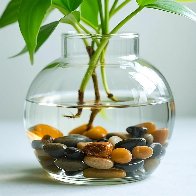 5 Lbs River Rocks for Plants,0.8-1.5 Inch Decorative Ornamental Pebbels, High Polished Stones for Garden Landscaping, Smooth Gravel Filler for Outdoor Plants, Succulents, Fish Tank and Vases, Yellow-PawvioPets