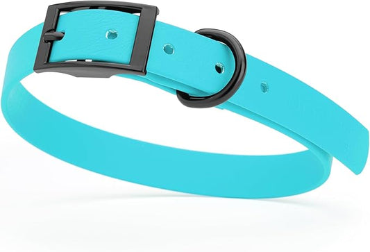 Dogline Biothane Waterproof Dog Collar Strong Coated Nylon Webbing with Black Hardware Odor- Proof for Easy Care Easy to Clean High Performance Fits Small Medium or Large Dogs, Sky Blue-PawvioPets