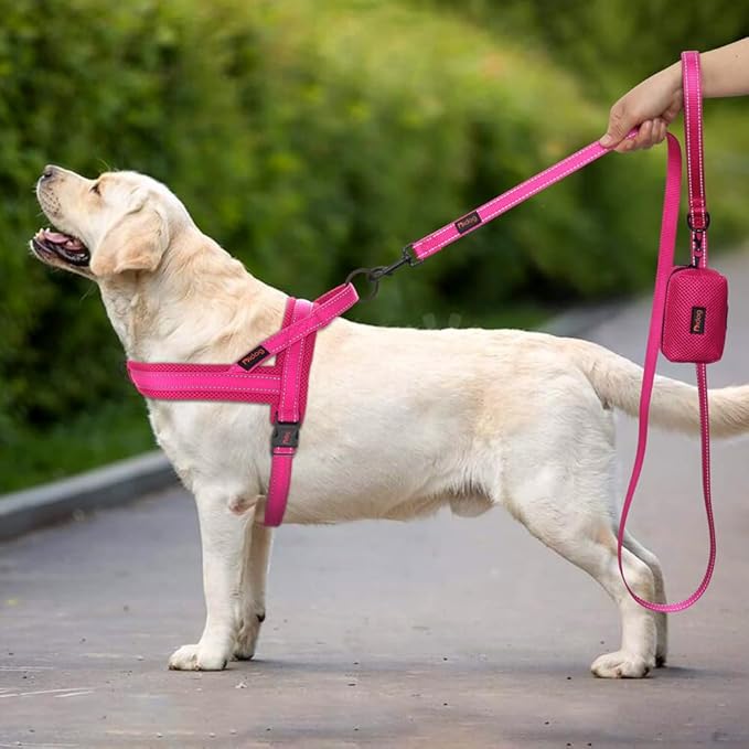 Didog No Pull Dog Harness with Soft Mesh Padded,Reflective & Quick Fit Light Weight Dog Strap Vest Harness,Easy for Walking Training (L:Chest 26-32", Mesh-Hot Pink)-PawvioPets