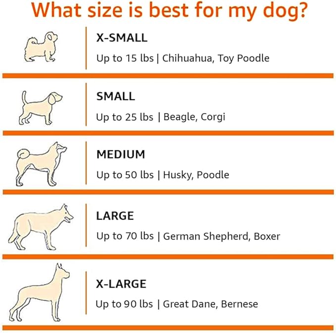 Amazon Basics Dog Crate, Travel Dog Kennel Double Door Collapsible, Lightweight Soft-Sided Folding, Portable Dog Cage, XL 42" x 31" x 31", Tan-PawvioPets