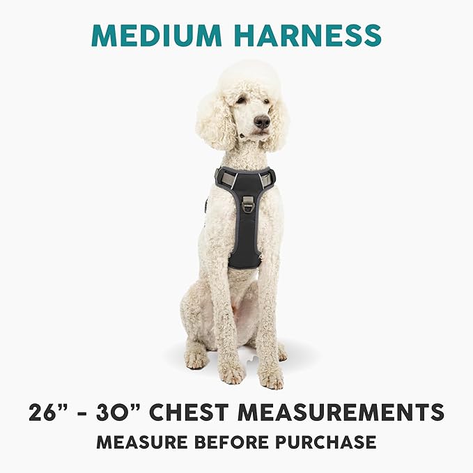 Embark Adventure Dog Harness, Reflective Trim No Pull Dog Harness Medium Sized - Military Grade Nylon, Front Clip with Gel Lined Handle. Soft & Padded Puppy Harnesses for Any Breed-PawvioPets