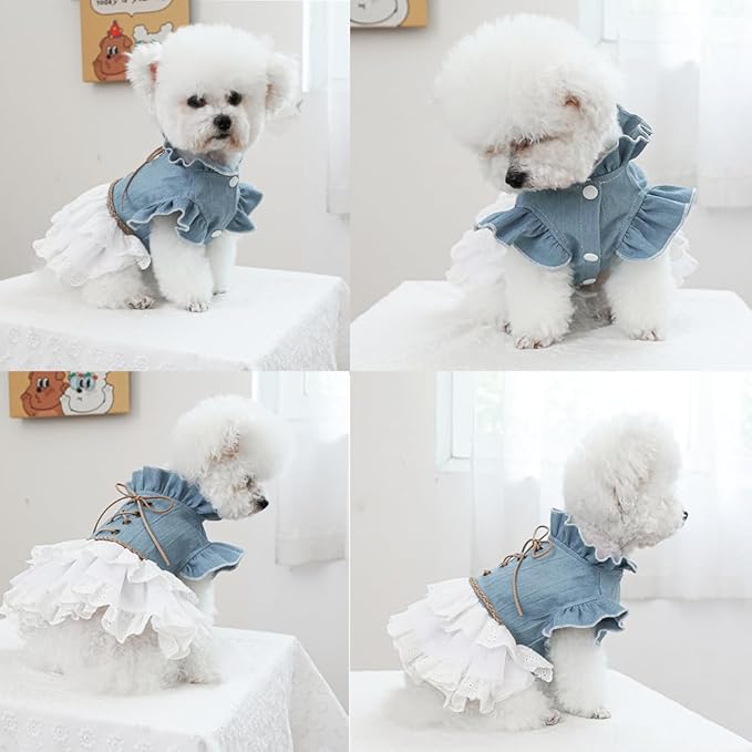 Girl Dog Denim Dress with Flared Sleeves Dog Jeans Jacket Blue White Puppy Clothes for Small Dogs Cat Apparel Cake Skirt Pet Outfit (Blue, Medium)-PawvioPets