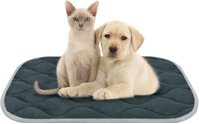 furrybaby Dog Crate Pad for Dog Cages Flat Crate Mat Kennel Pad with Anti-Slip Bottom Machine Washable for Pet Bed Sleeping (S 24x18'', Grey Mat)-PawvioPets