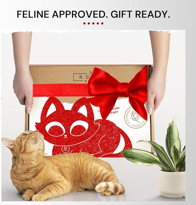 7 Ruby Road Cat Hammock Wall Mounted Shelf with Two Steps Set - Wall Shelves and Perches for Sleeping, Playing, Climbing and Lounging - Modern Cat Bed & Furniture for Indoor and Large Cats or Kitty-PawvioPets