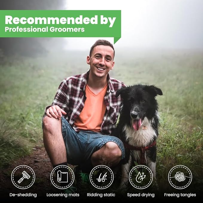 Best Shot Scentament Spa Tropical Breeze Seasonal Facial & Body Wash, 1 Gallon-PawvioPets