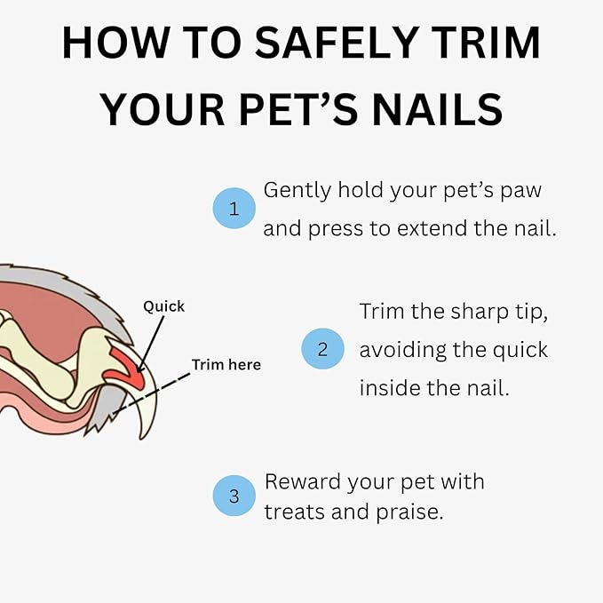 AIXINPET Dog & Cat Nail Clippers and Trimmers - with Free Nail File, Protective Guard to Avoid Over Cutting, Extra Sharp Blade - Suitable for Small to Large Dogs & Cats, Birds and Rabbits (Large)-PawvioPets