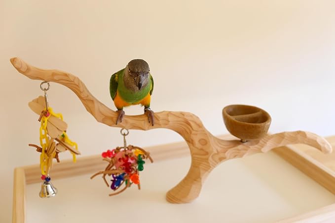 Deluxe Tabletop Perfect Tree (with Bowl) - Tree Stand for Parakeets and Small Parrots-PawvioPets
