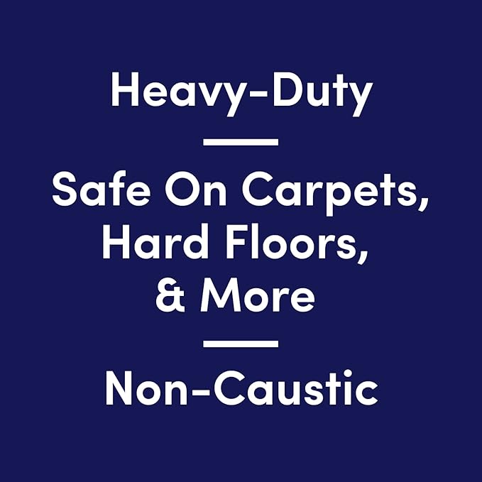 Bioesque Advanced Stain + Odor Remover, Pet-Friendly Natural Enzymatic & Bacterial Formula, Heavy-Duty Stain & Odor Remover, Safe on Carpets, Hard Floors, & More, 32 Fl Oz (Pack of 1)-PawvioPets