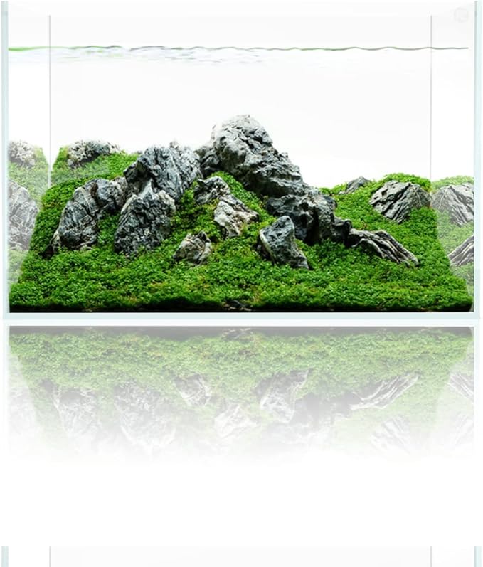 Fzone 10 Gal Rimless Low Iron Fish Tank Nova Clear Ultra-White 45° Mitered Edges Translucent Glass Anata Series Aquarium w/Black Foam Leveling Mat(S45-W30)-PawvioPets