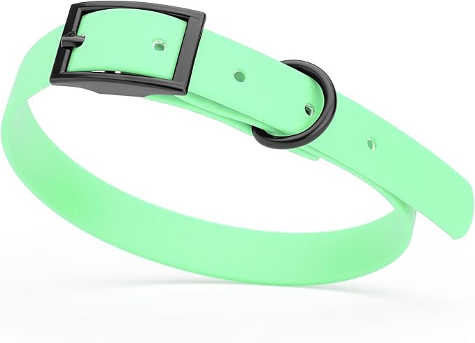 Dogline Biothane Waterproof Dog Collar Strong Coated Nylon Webbing with Black Hardware Odor- Proof for Easy Care Easy to Clean High Performance Fits Small Medium or Large Dogs, Sea Foam Green-PawvioPets