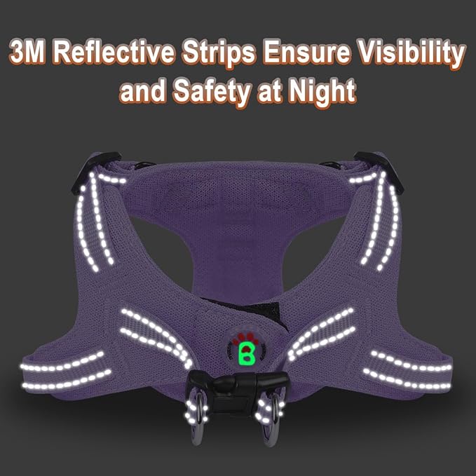 Dog Harness Step in Dog Vest Harness, Reflective Adjustable Puppy No Pull Harness Breathable Soft for Small and Medium Dogs Cats, Violet Purple, S-PawvioPets