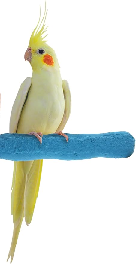 Comfort Grip Safety Perch for Bird Cages - Pedicure Perch for Birds to Keep Nails and Beaks in Top Condition - Safe Easy to Install Bird Cage Accessories - X-Small 4.5"-PawvioPets