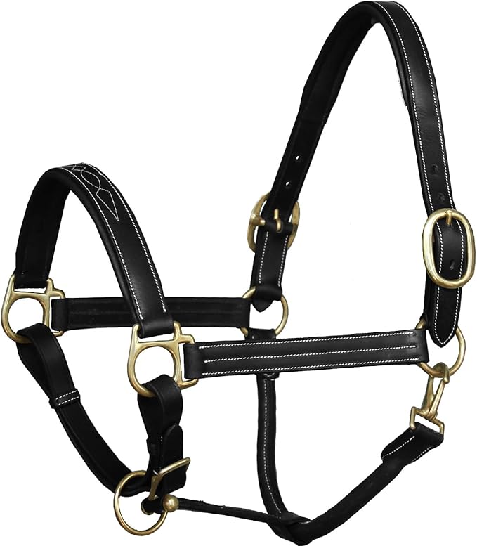 Exion Leather Horse Halter with Fancy Stitching | Black & Brown Padded Halter with Brass Hardware | Quick-Release Snap | Adjustable Leather Halter – Cob, Full, Over, Pony Sizes-PawvioPets