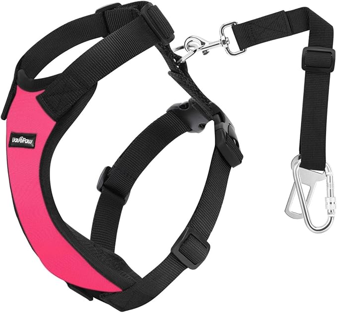 Dog Seat Belt, Safety Vest Dog Car Harness with Adjustable Buckle Dog Seat Belt for Vehicle Nylon Pet Safety Seat Belts Heavy Duty(XXL, Magenta)-PawvioPets