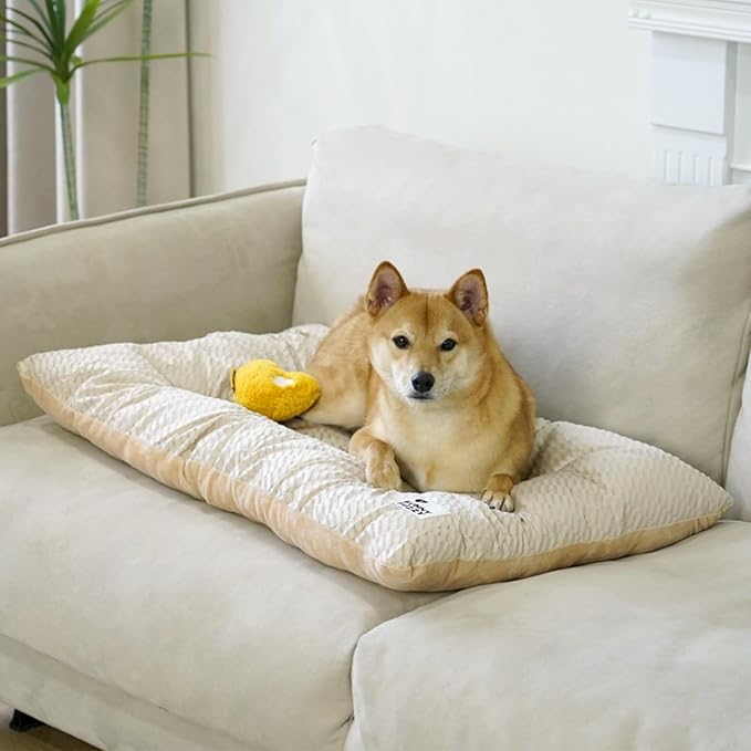 FUNNY FUZZY 2 in 1 Dog Crate Bed Pad for Large Sized Dog, Washable Reversible Pet Soft Mats,Durable Fluffy Kennel Mattress,Indoor Cats, 35" × 23", Beige-PawvioPets