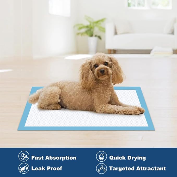 100 Count 22” x 22” Disposable Dog Pee Pads, Super Absorbent Leakproof Puppy Pads Quick Drying, Pee Pads for Dogs, Potty Dog Training Pads-PawvioPets