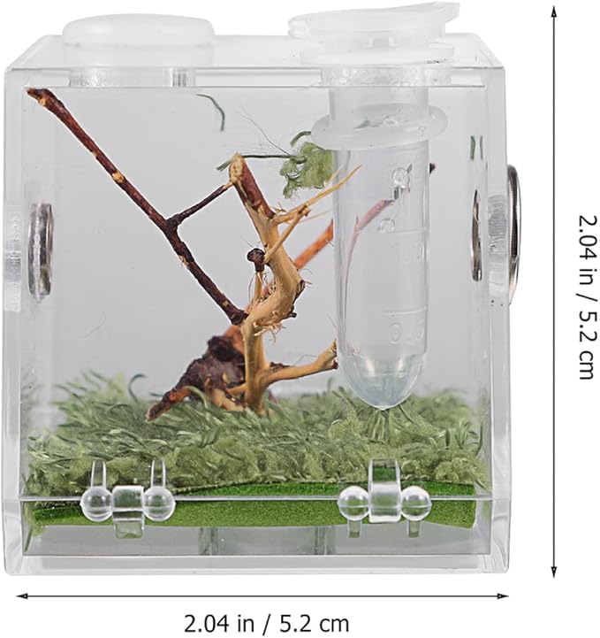 balacoo 8 Sets Jumping Spider Enclosure: Spider Cage Habitat Jumping Terrarium Micro Scorpion Droppers Reptile Hide Clear Enclosure Breeding Box Case with Breeding Tweezers-PawvioPets