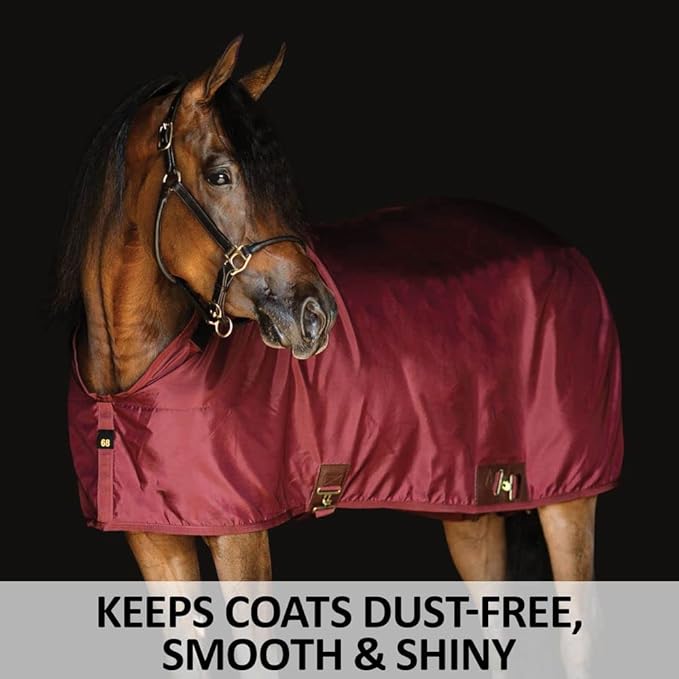 Dura-Nylon Horse Stable Sheet | Ultimate Comfort & Protection Horse Sheet | Keeps Coats Smooth & Shiny-PawvioPets