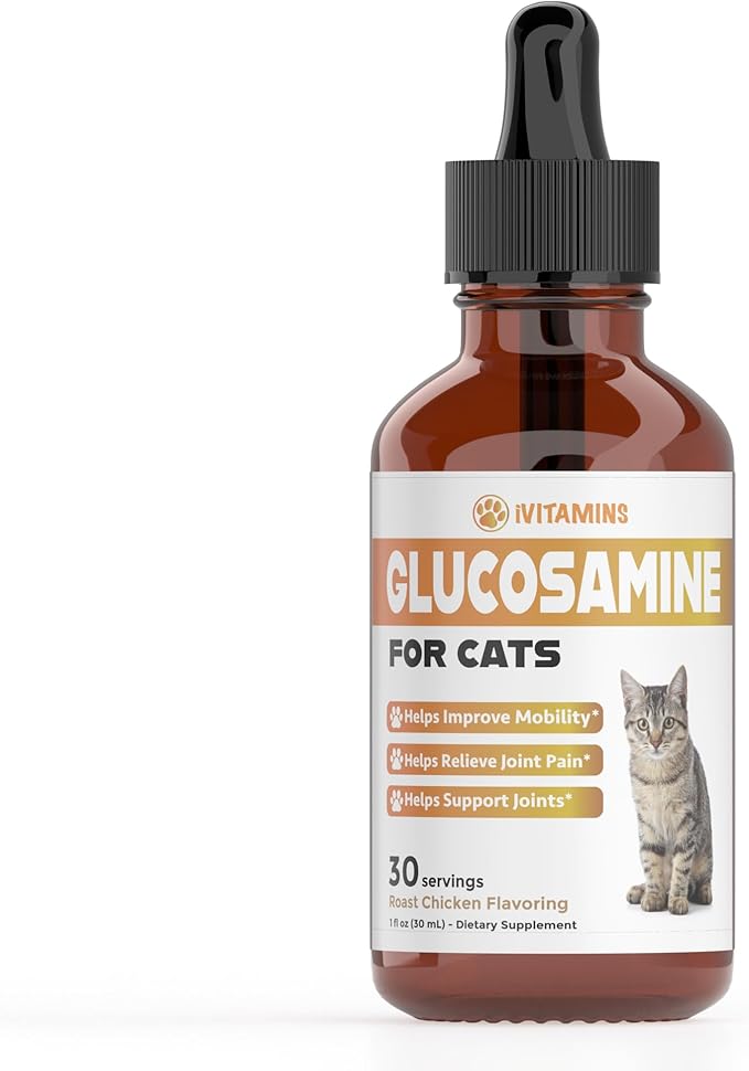 Glucosamine for Cats | Cat Glucosamine | Glucosamine for Cats Liquid | Cat Joint Supplement | Joint Supplement for Cats | Cat Joint Pain Relief | Joint Support for Cats | 1 fl oz: Chicken Flavor-PawvioPets