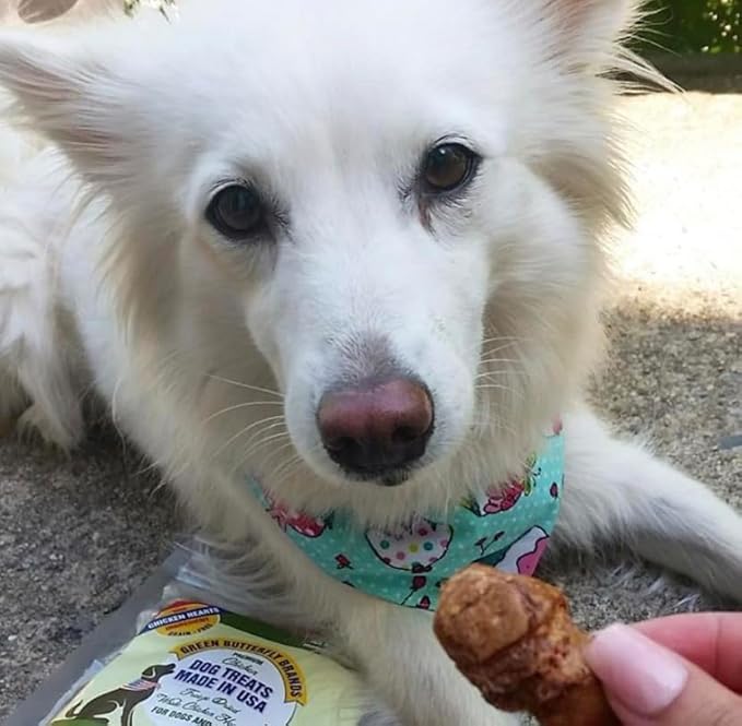 Freeze Dried Chicken Heart Dog Treats Made In USA. All Natural Freeze-Dried Raw Snacks for Dogs and Cats. One Ingredient. High Protein. Heart Health. Irresistible Training Treat-PawvioPets