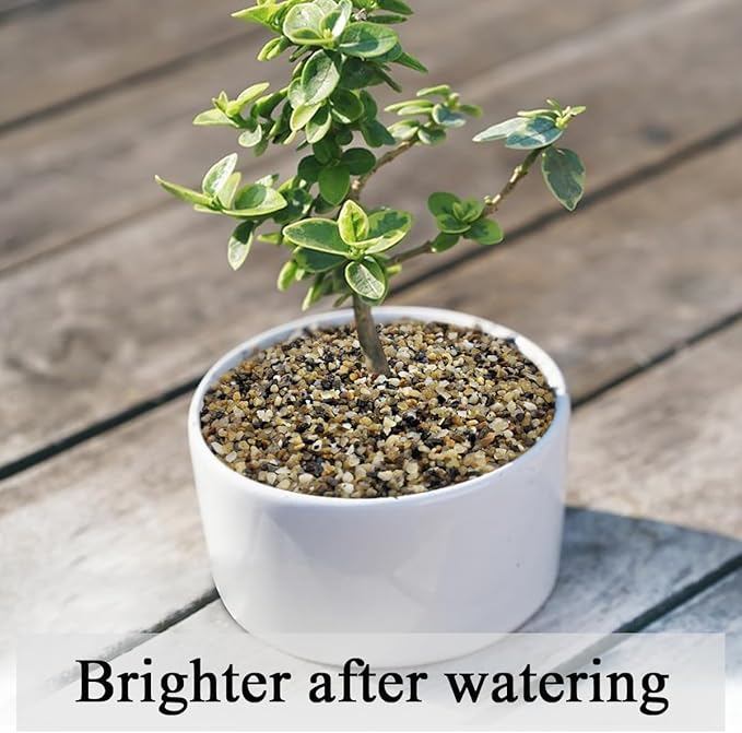 20lbs Fish Tank Sand, 1/16 inch Small Aquarium Gravel. Decorative Pea Gravel River Rocks for Air Plants, Vase Fillers, Landscaping and Succulent Soil Cover-PawvioPets