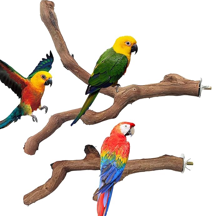 Allazone 4 PCS Natural Wood Bird Perch Stand, Bird Parrot Perch Stand Set, Wooden Parrot Perch Stand Perch Platform Cage Accessories for Parrotlets Cockatiels Budgies Parakeets-PawvioPets