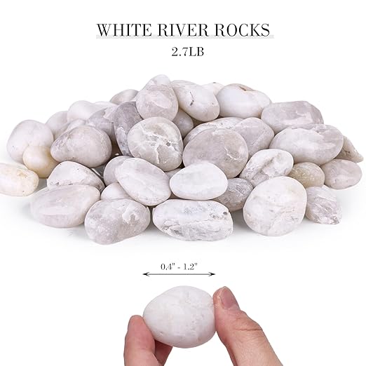 DomeStar 2.7lb White River Rocks, Polished Pebbles Decorative White Stones for Landscaping Vase Filler Fish Tank Aquariums Garden Outdoor and Indoor DIY-PawvioPets