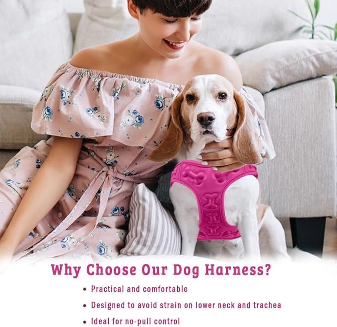 Comfort fit All Weather Step-in Dog Harness - Adjustable Small Dog Harness Medium Sized Dogs - Soft Padded Easy Walk Dog Vest Harnesses-PawvioPets