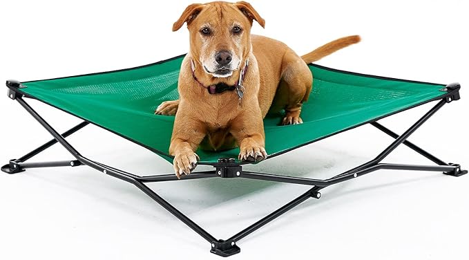 Coolaroo On-The-Go Elevated Dog Bed - Foldable Pop-Up Travel Dog Bed with Breathable, Moisture-Resistant Fabric, Carry Bag Included, Lightweight & Portable, Emerald Green, Large-PawvioPets